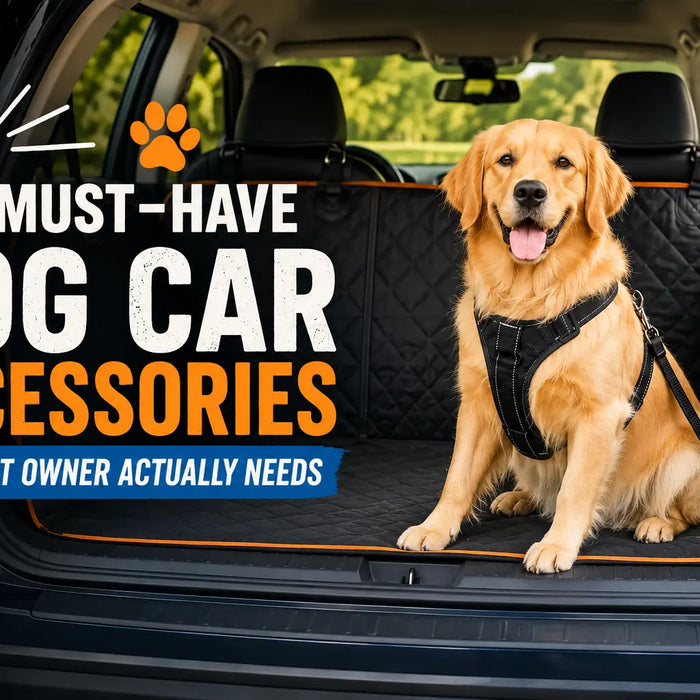 Golden retriever in car back with harness, overlay text 5 MUST-HAVE DOG CAR ACCESSORIES EVERY PET OWNER ACTUALLY NEEDS and paw print icon.